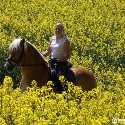 Rappsfeld © reinhold@wentsch.com | bodensee.photography