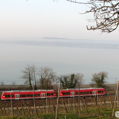 bodensee.gallery © reinhold@wentsch.com | bodensee.photography