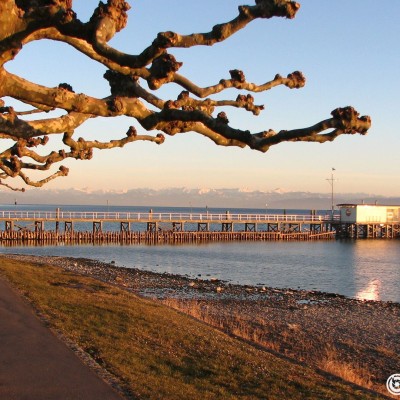 bodensee.gallery © reinhold@wentsch.com | bodensee.photography