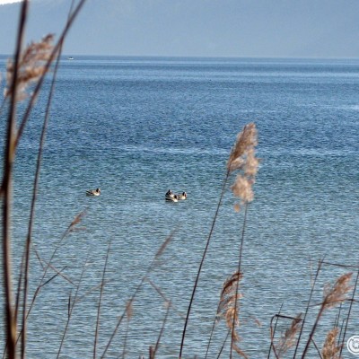 bodensee.gallery © reinhold@wentsch.com | bodensee.photography