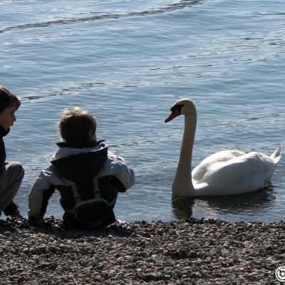 bodensee.gallery © reinhold@wentsch.com | bodensee.photography