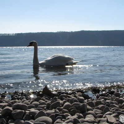 bodensee.gallery © reinhold@wentsch.com | bodensee.photography