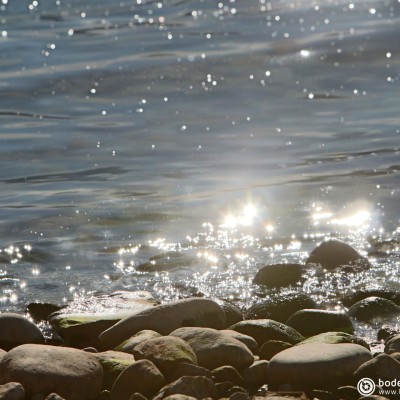 bodensee.gallery © reinhold@wentsch.com | bodensee.photography