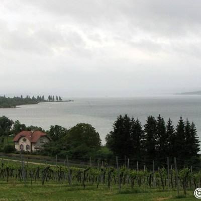 bodensee.gallery © reinhold@wentsch.com | bodensee.photography