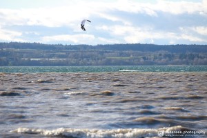 Kitesurfen am Bodensee by bodensee.photography